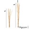 Uniquewise 12 pcs Natural Decorative Dry Branches Authentic Willow Sticks, 59 in, peeled white QI004415.WT.60 - alternate 5